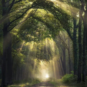 成人🔞日本无码视频在线观看
